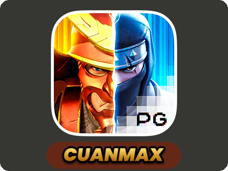Ninja vs Samurai